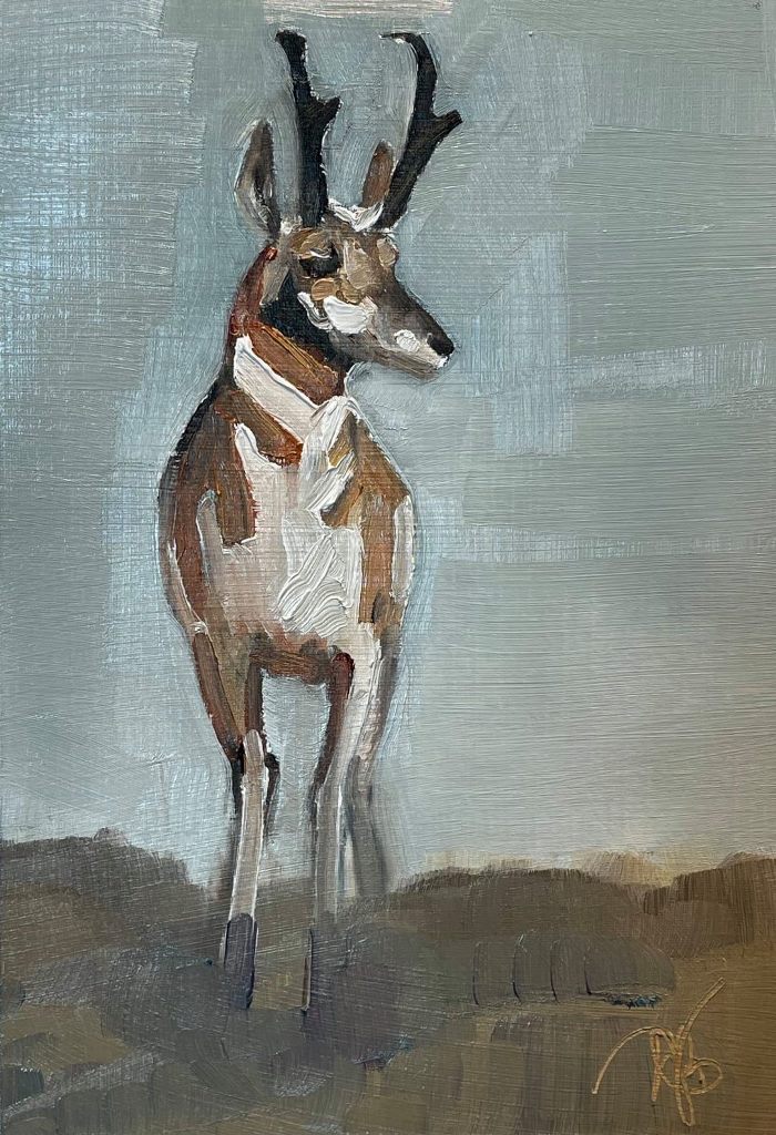 Peggy Judy - Pronghorn