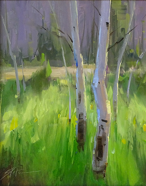 Stacey Peterson - Aspen Summer