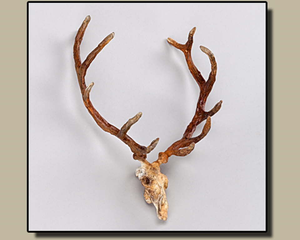 Paul Rhymer - Elk Antlers