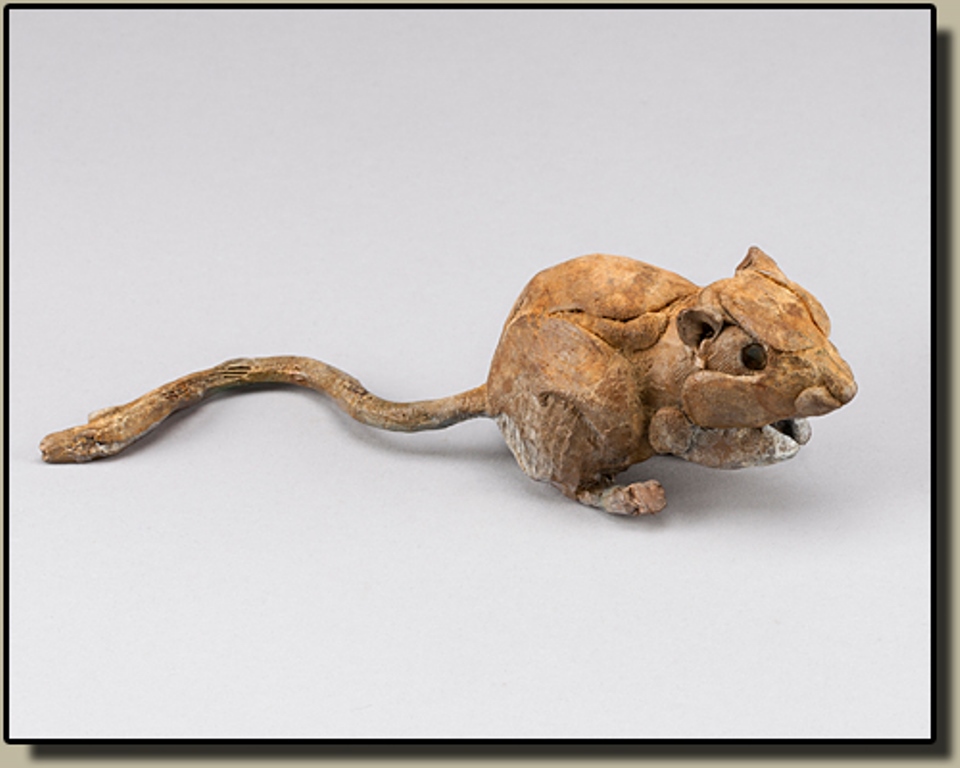 Paul Rhymer - Kangaroo Rat