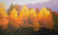 Autumn Glory - Douglas Aagard
