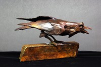 Raven V - Dan Chen