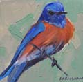 Bluebird - Adele Earnshaw