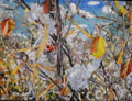 Elyse's Snow - Malou Flato