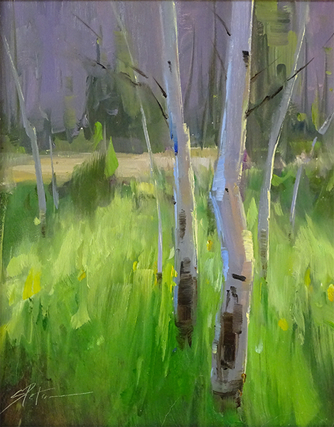 Aspen Summer - Stacey Peterson